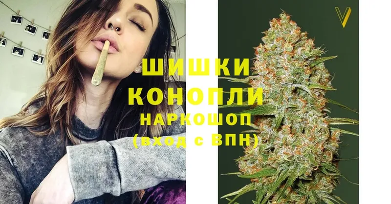 Шишки марихуана сатива  OMG как войти  Реутов  купить наркотики цена 